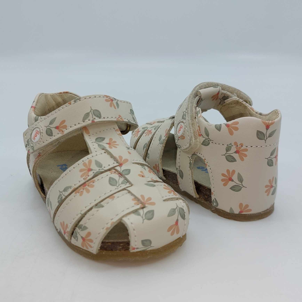 Falcotto Alby -Gabbietta...